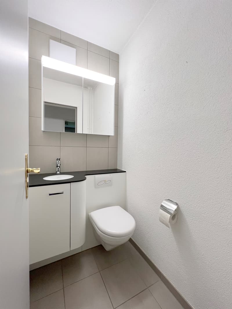 Im Herzen von Gattikon - Befristet für 1 Jahr! (11)