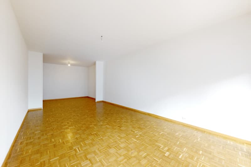 Bel appartement idéalement situé à proximité du centre-ville (4)