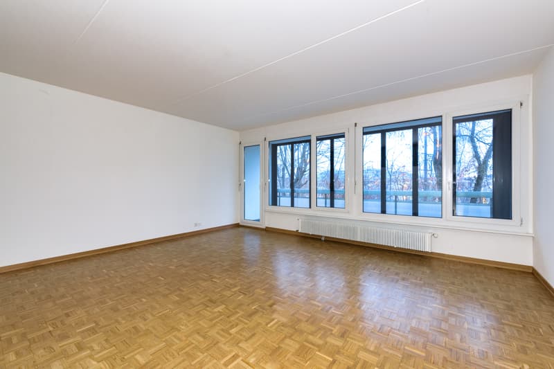 Appartement duplex à Petit-Lancy ! (4)