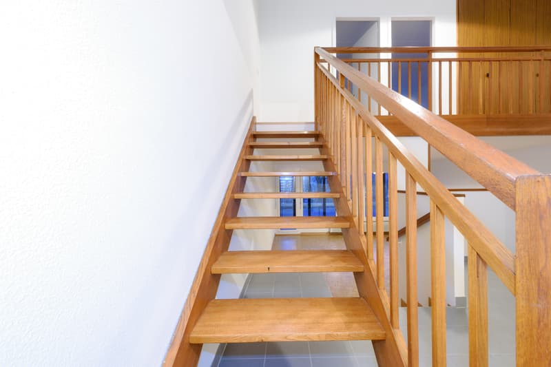 Appartement duplex à Petit-Lancy ! (5)