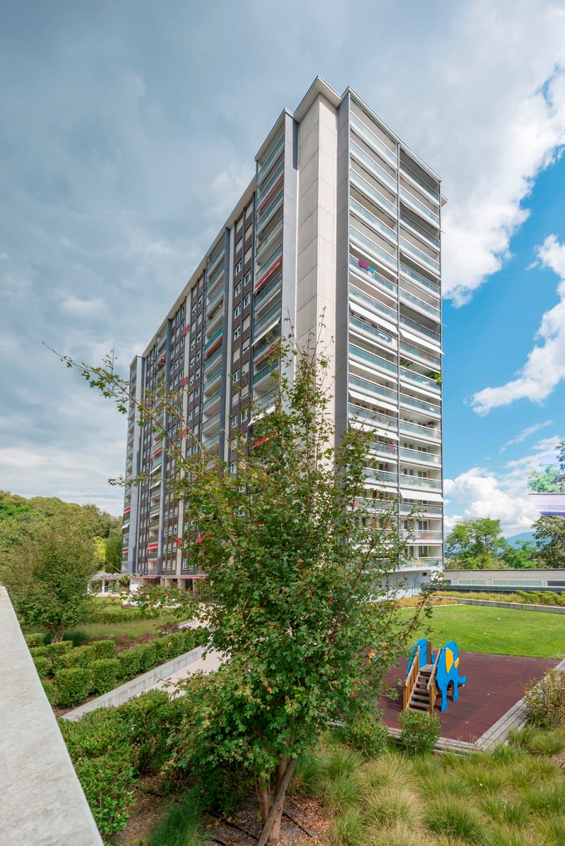 Appartement duplex à Petit-Lancy ! (1)