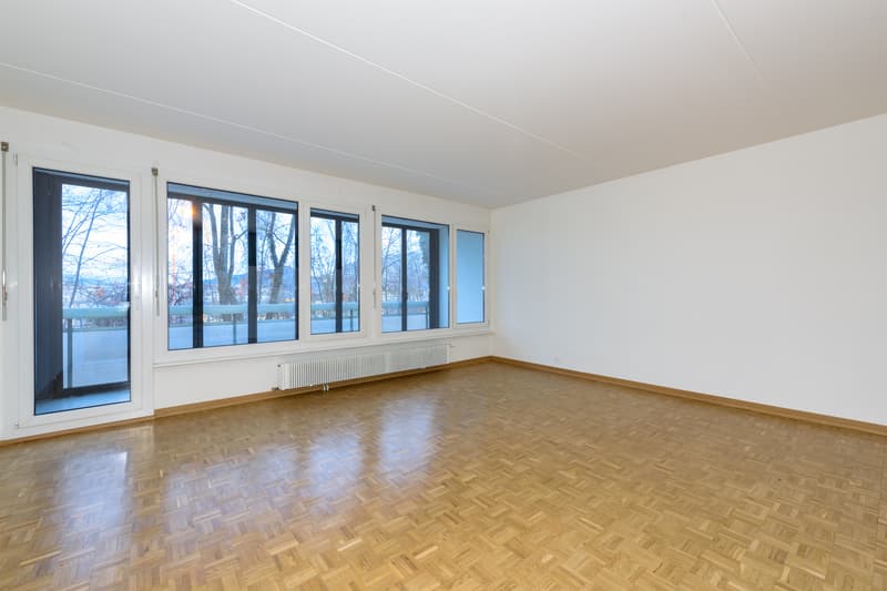 Appartement duplex à Petit-Lancy ! (3)