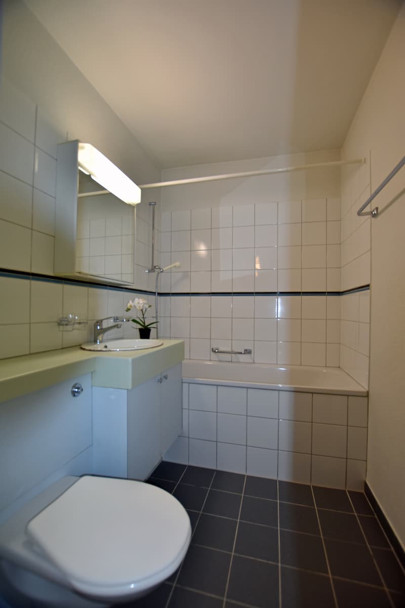"heimelige" Dach-Wohnung an zentraler Lage (8)