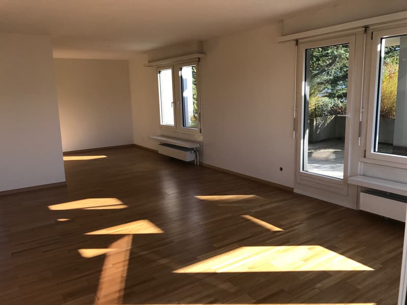 Wohntraum Attika - im bevorzugten Haslenquartier mit 2 Terrassen! (8)