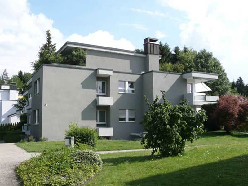 Wohntraum Attika - im bevorzugten Haslenquartier mit 2 Terrassen! (2)