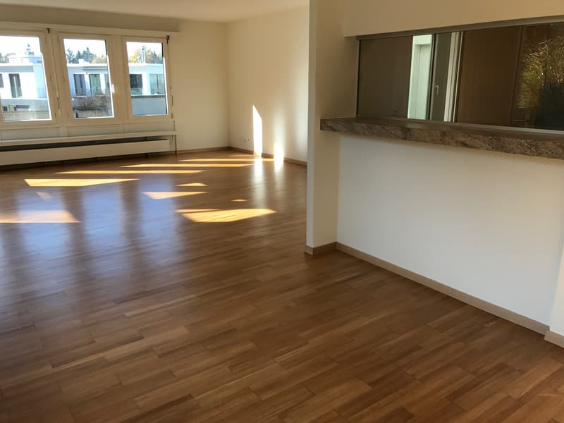 Wohntraum Attika - im bevorzugten Haslenquartier mit 2 Terrassen! (7)