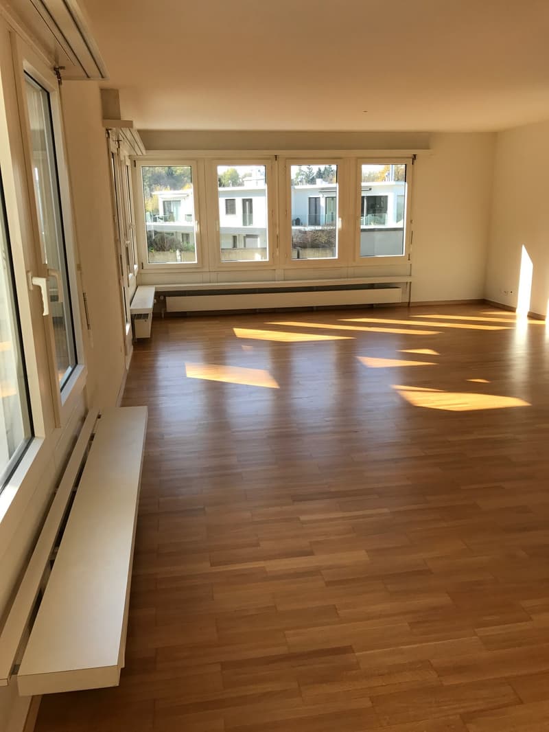 Wohntraum Attika - im bevorzugten Haslenquartier mit 2 Terrassen! (5)