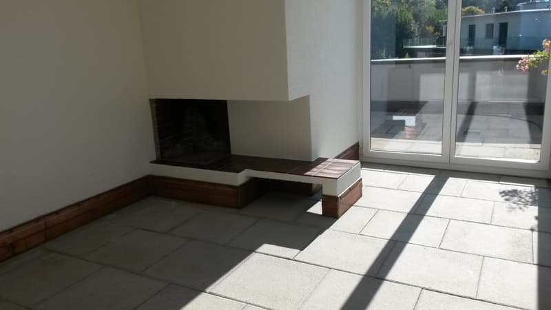 Wohntraum Attika - im bevorzugten Haslenquartier mit 2 Terrassen! (11)