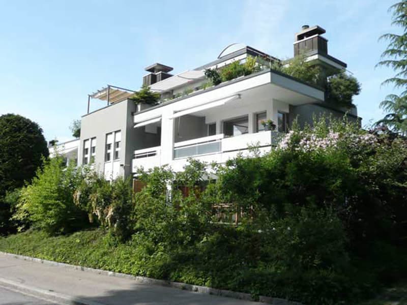 Wohntraum Attika - im bevorzugten Haslenquartier mit 2 Terrassen! (1)