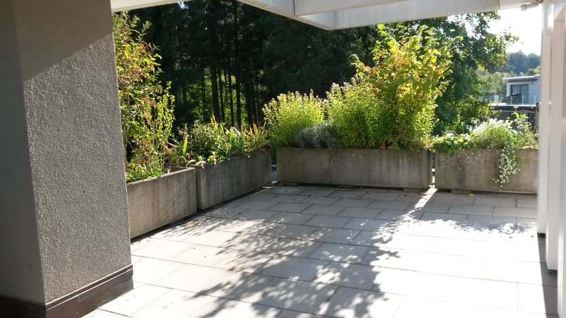 Wohntraum Attika - im bevorzugten Haslenquartier mit 2 Terrassen! (13)