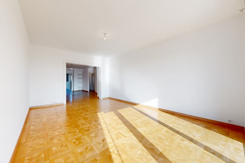 Bel appartement à proximité de la gare Cornavin (2)
