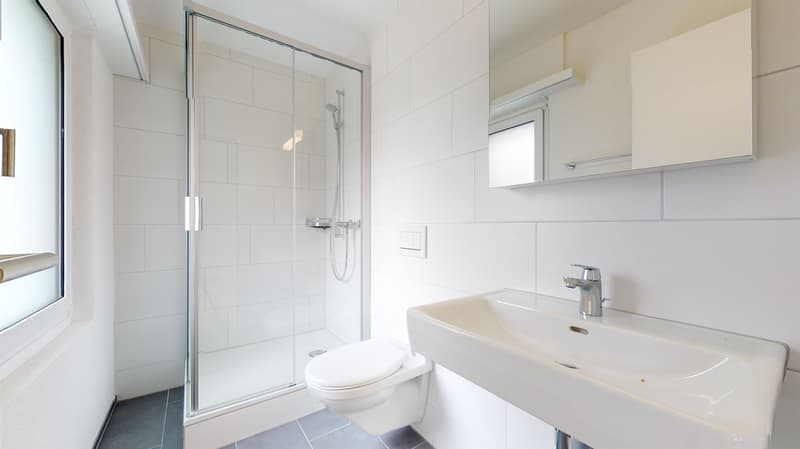 Wohnen mit Stil - Singlewohnung mit moderner Ausstattung (5)