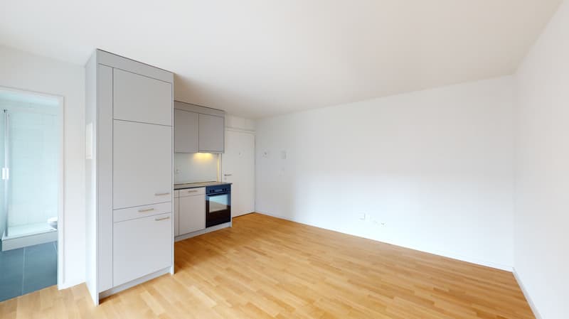 Wohnen mit Stil - Singlewohnung mit moderner Ausstattung (3)