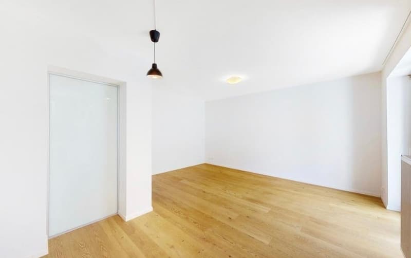 Moderne Wohnung mit eigenem Waschturm (4)