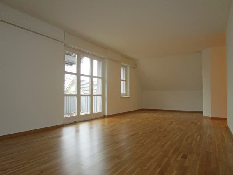 Charmante und grosszügige Dachwohnung nähe Seepromenade (2)