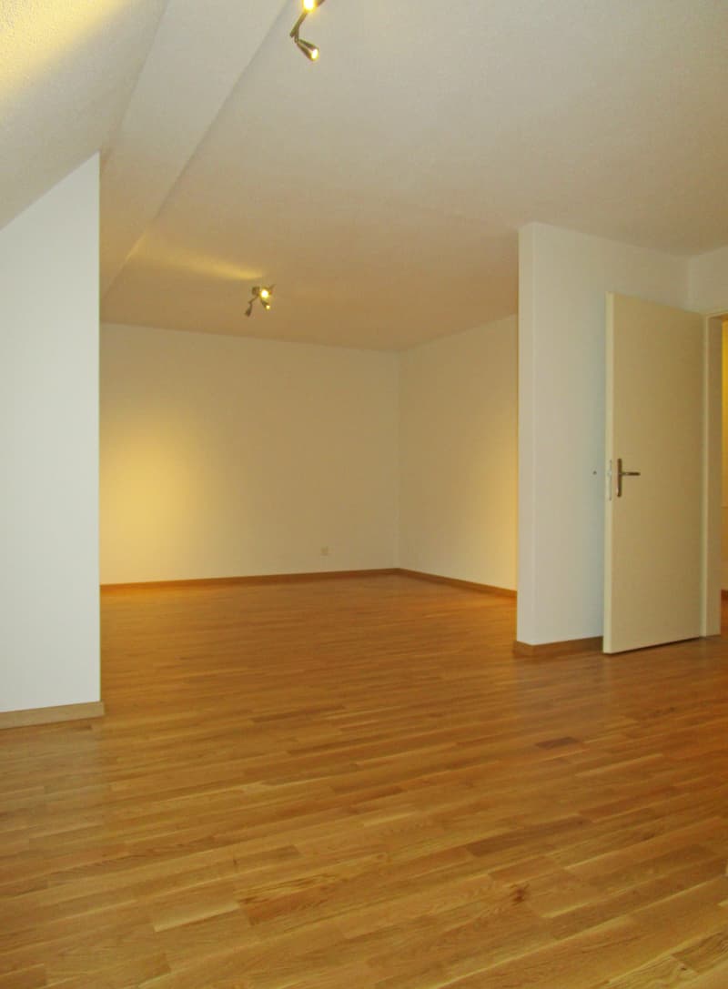 Charmante und grosszügige Dachwohnung nähe Seepromenade (3)