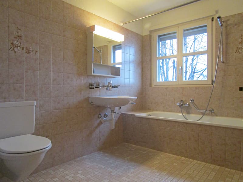 Charmante und grosszügige Dachwohnung nähe Seepromenade (5)