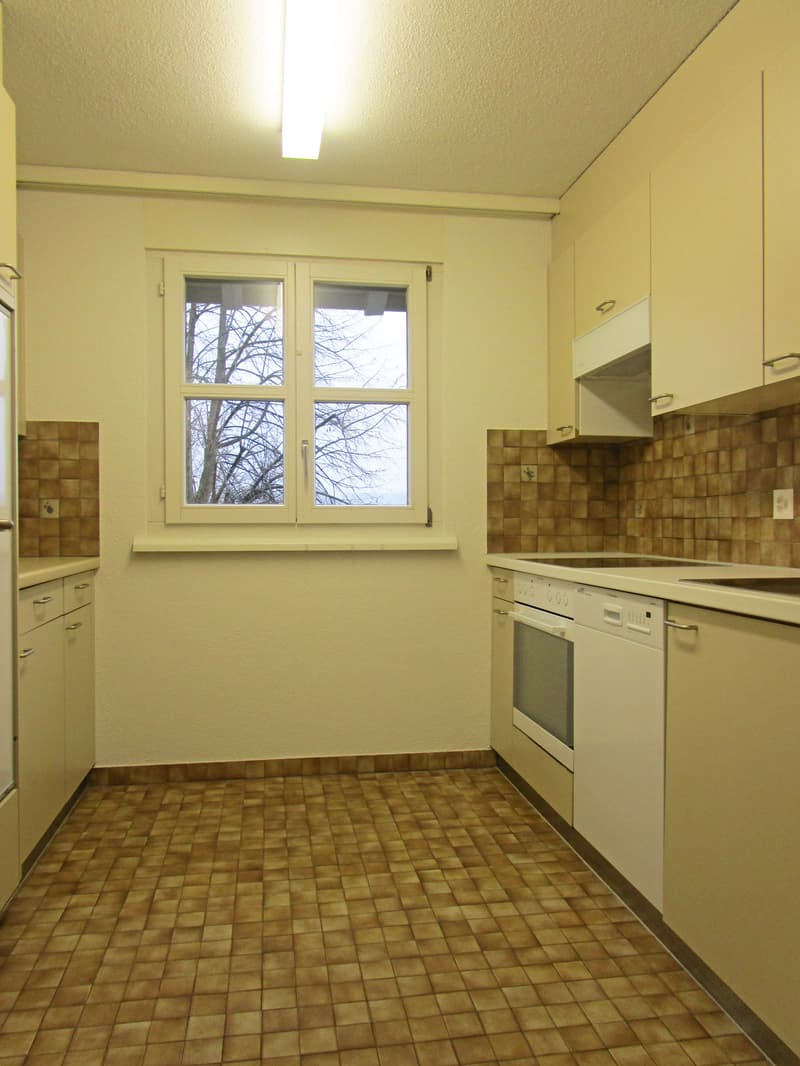 Charmante und grosszügige Dachwohnung nähe Seepromenade (4)