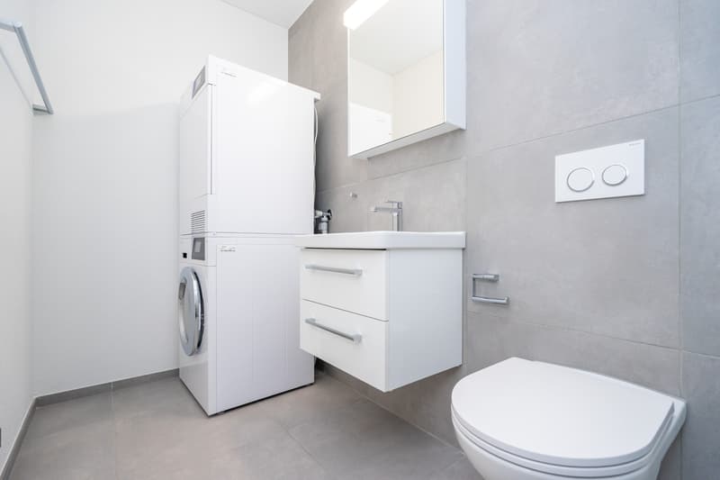Neuwertige Wohnung im Wohnpark Blümlisalp (6)