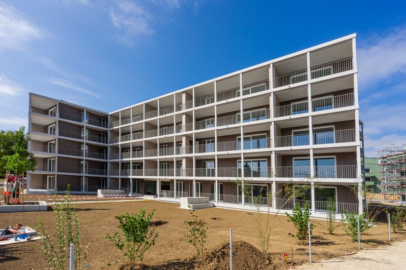 Neuwertige Wohnung im Wohnpark Blümlisalp (10)