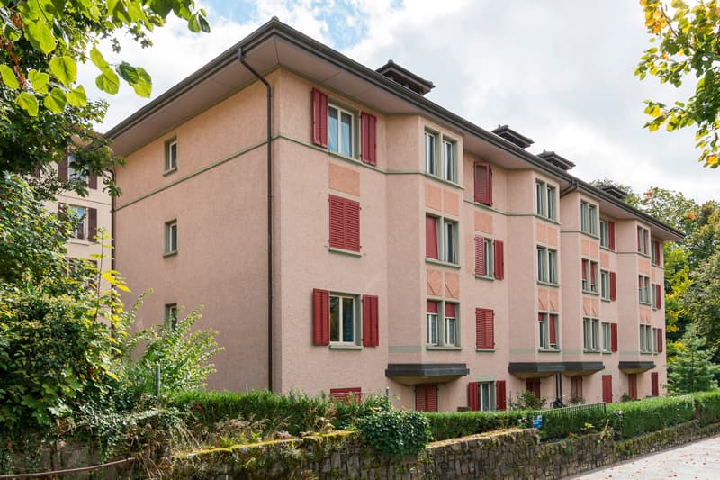 Magnifique appartement sous gare à Lausanne (2)