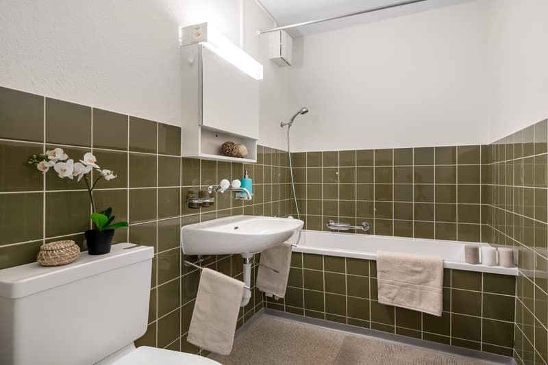 Charmante Wohnung an ruhiger Lage (8)