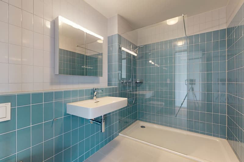 Auf der Suche nach einer zentralen, modernen Wohnung? (8)