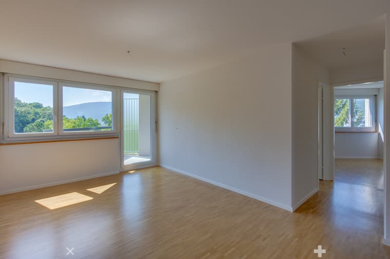 Herrliche Aussichten über die Stadt Biel (4)