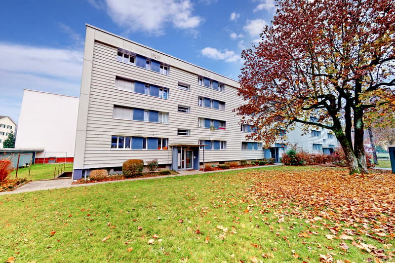 Grosszügige 3-Zimmer-Wohnung in familienfreundlichem Quartier! (8)