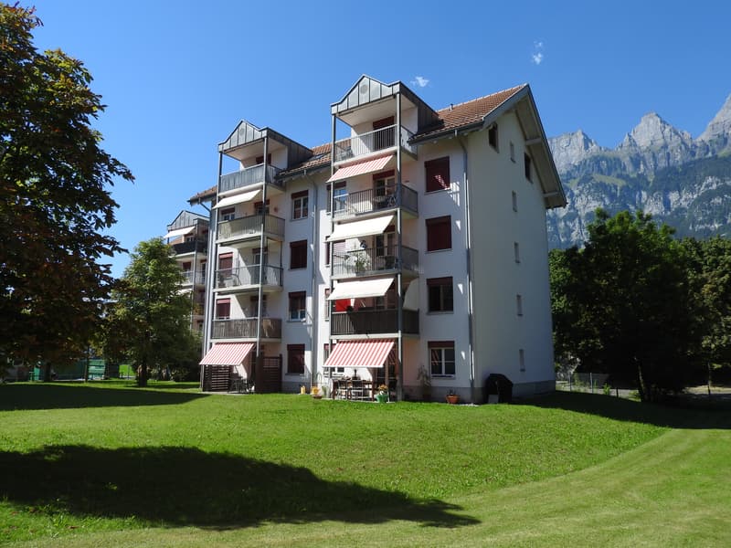 Sonnige Sitzplatzwohnung (1)