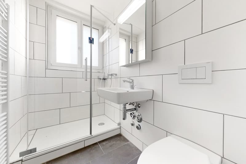 Moderne Wohnung an zentraler Wohnlage (5)