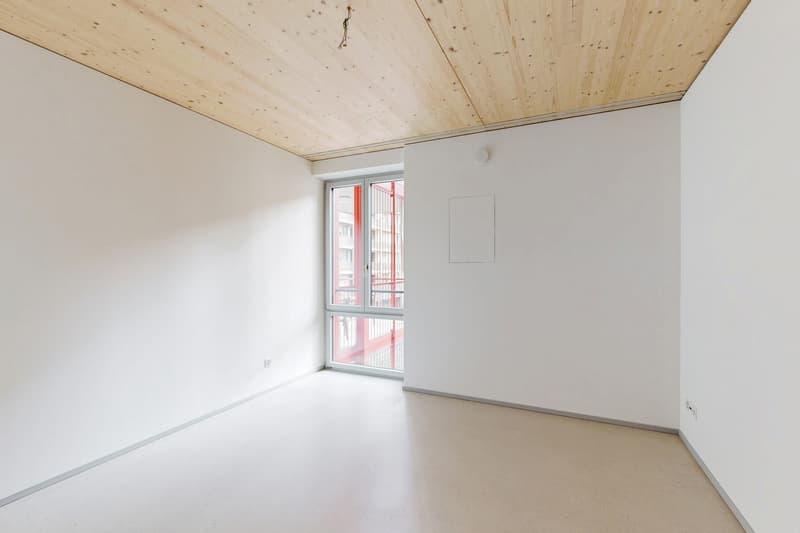 Moderne Wohnung in Winterthur (3)