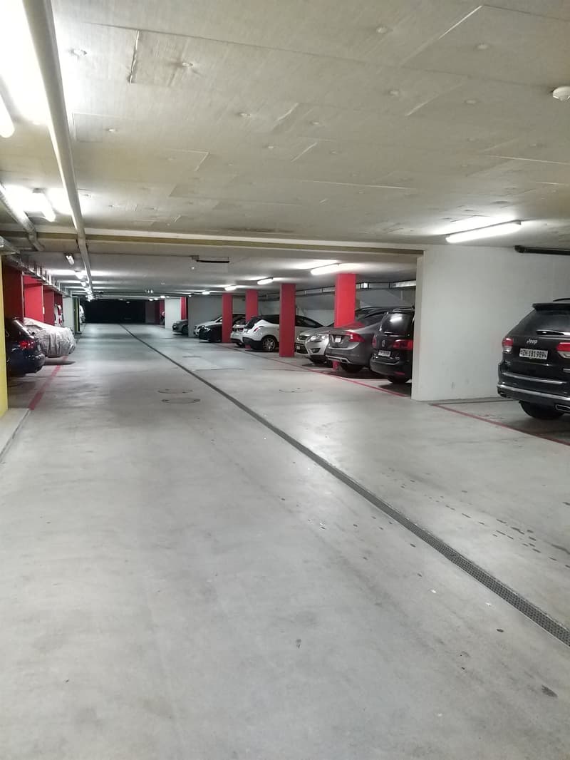 Doppeleinstellplatz am Uetliberg zu vermieten! (1)