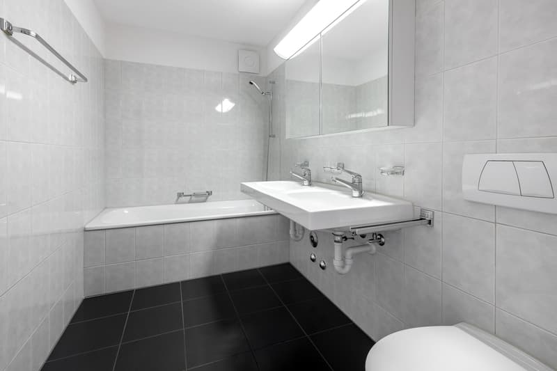 Wohnung an ruhiger Lage in der Nähe des Greifensees (10)