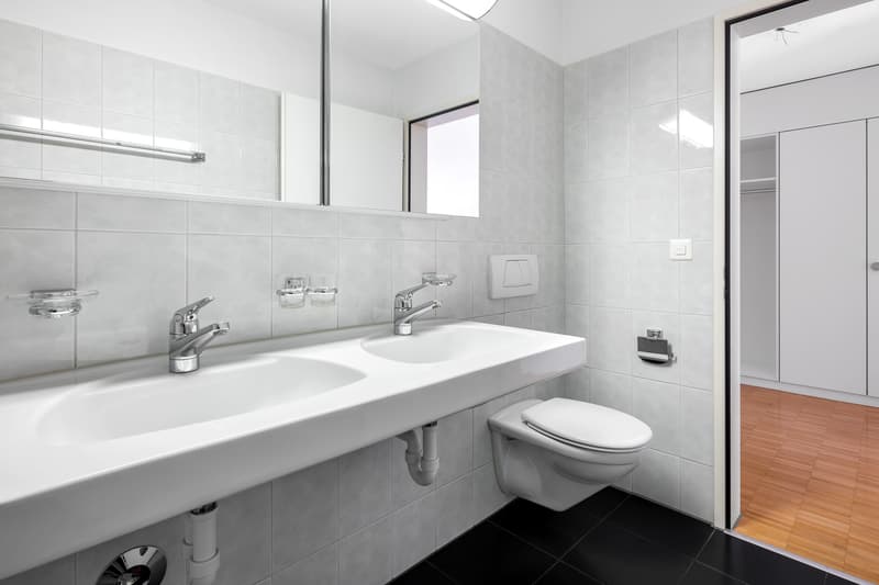 Wohnung an ruhiger Lage in der Nähe des Greifensees (9)