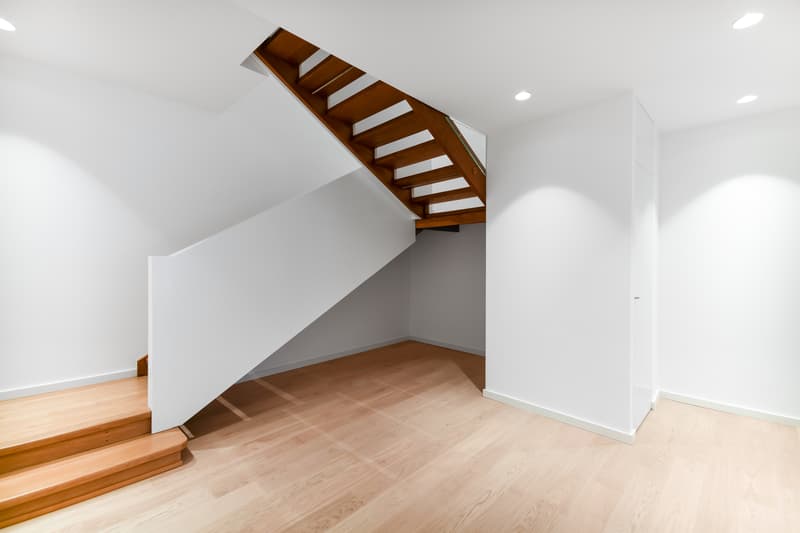 Duplex en plein coeur de Genève ! (5)