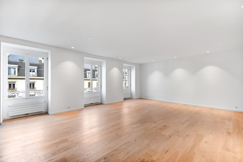 Duplex en plein coeur de Genève ! (3)