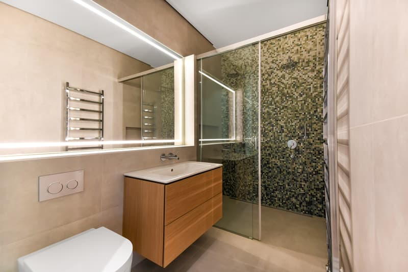 Duplex en plein coeur de Genève ! (8)