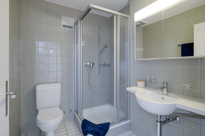 Traumhafte Maisonettewohnung sucht neue Mieterfamilie (11)