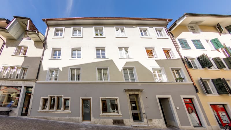 Einzigartige Dachwohnung im idyllischen Feldbrunnen (7)