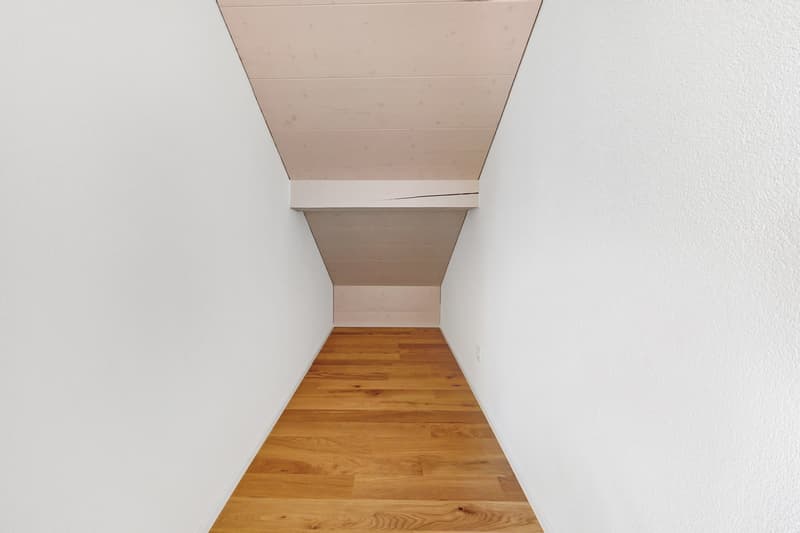 Einzigartige Dachwohnung im idyllischen Feldbrunnen (11)