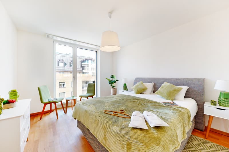 Magnifique appartement dans un bâtiment moderne ! (5)