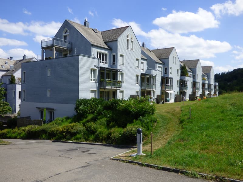 Wohnoase - Ruhe, Sonne und Fernsicht (1)