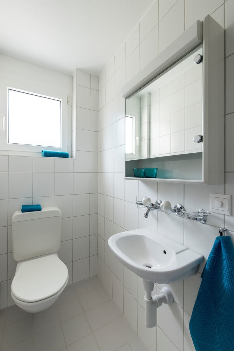 Lichtdurchflutete Erdgeschosswohnung mit Gartensitzplatz. (6)