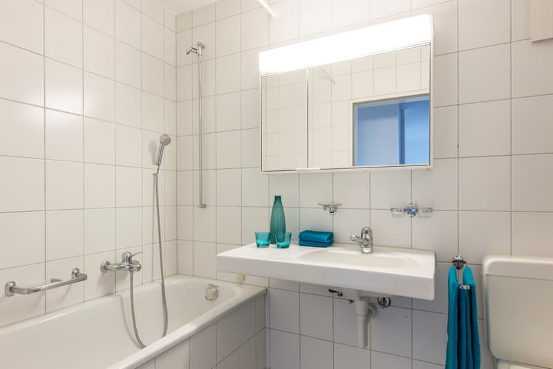 Lichtdurchflutete Erdgeschosswohnung mit Gartensitzplatz. (5)