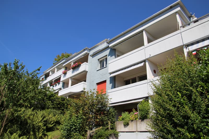 Abstellplätze in Horgen zu vermieten (1)
