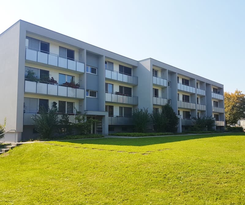 Erste eigene Wohnung (1)