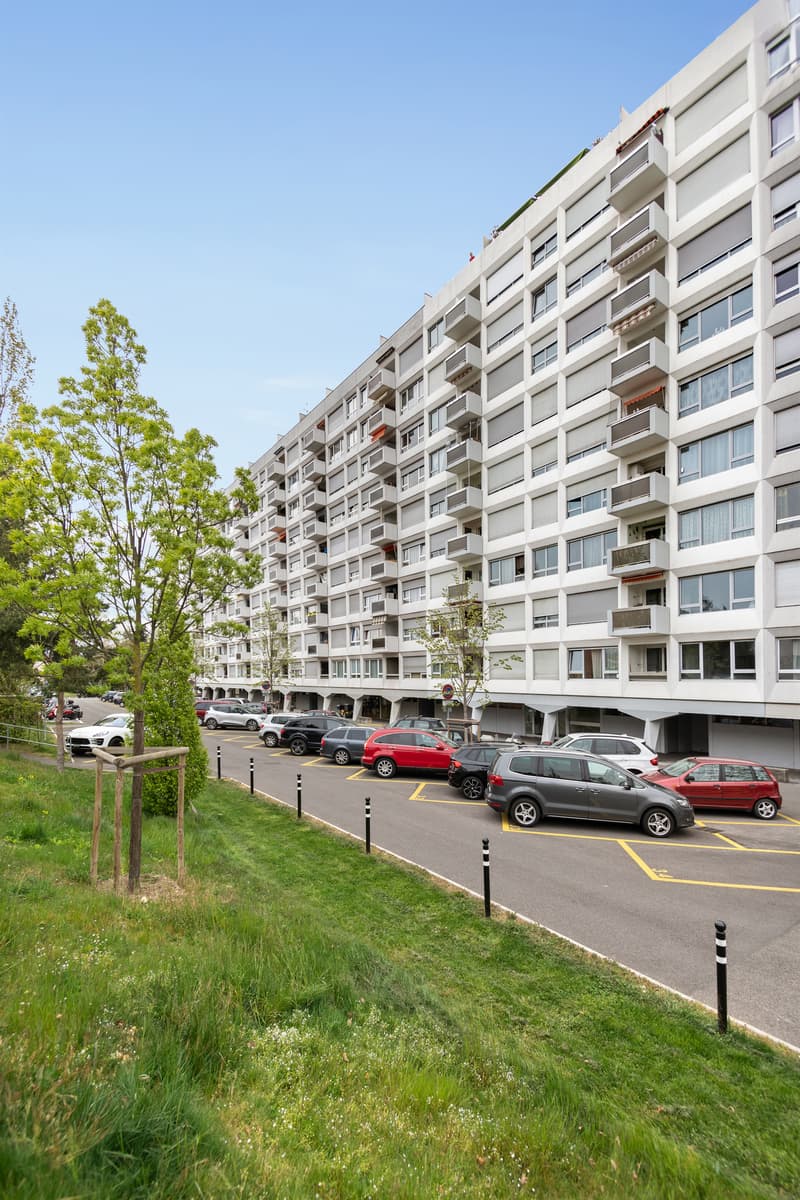 Onex - Garage/box à louer (3)