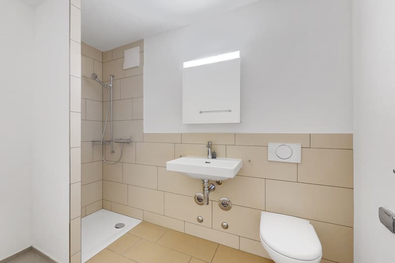 Modern Living - Altstetten (7)