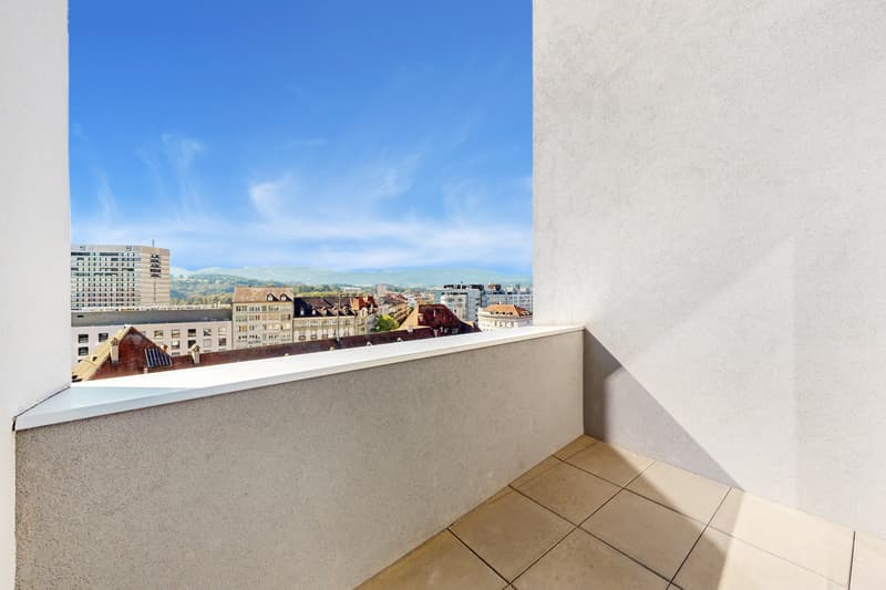 Magnifique appartement en duplex sur Fribourg ! (10)
